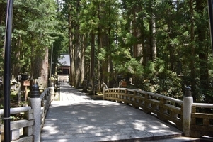 私の6月の振り返り