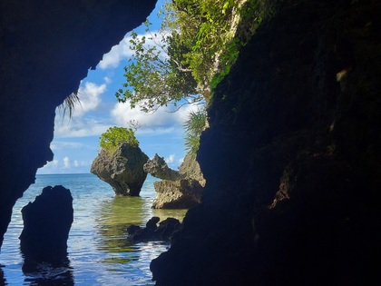 いつもご来店いただきありがとうございます。